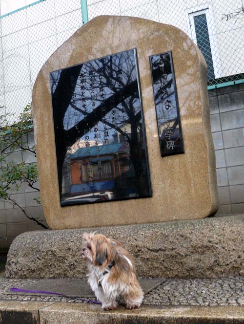 露伴公園で