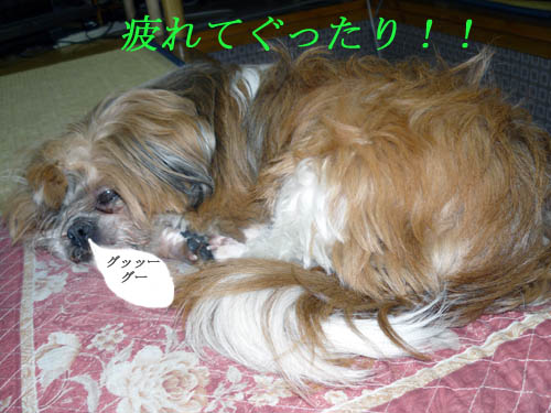 ねむい