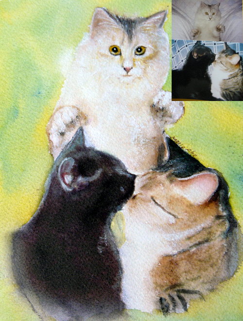 3匹の猫
