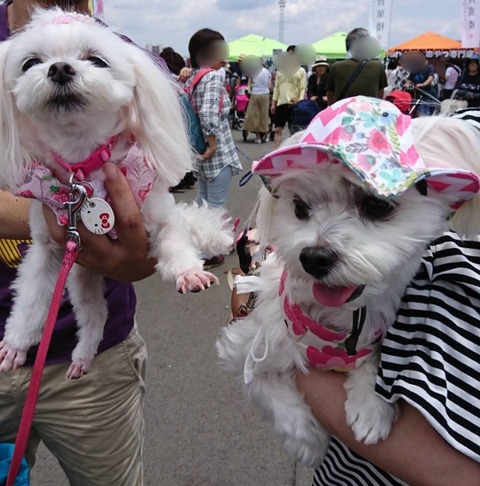 Point Blur_20180617_174515