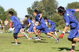 d2bb9223.jpg