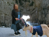 BlogPaint