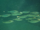DSCF6762