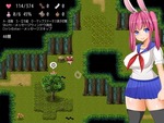 沼