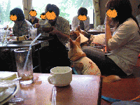 カツ丼食べる神威パパさん