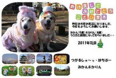 ǯ���