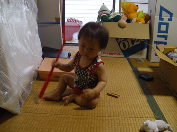ハエ叩きとか