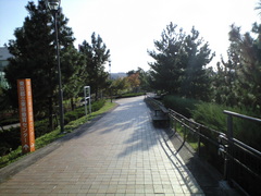 CA392140