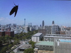 うるちゃい・・・