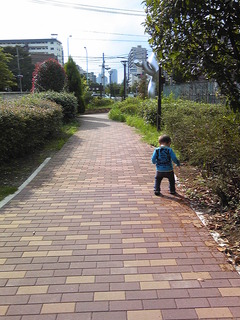 いわんこっちゃない・・・