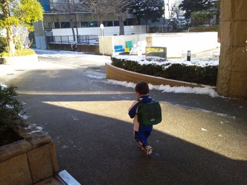 雪あるね