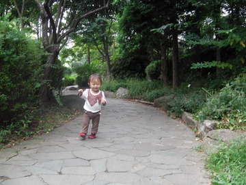 お家へ帰り道