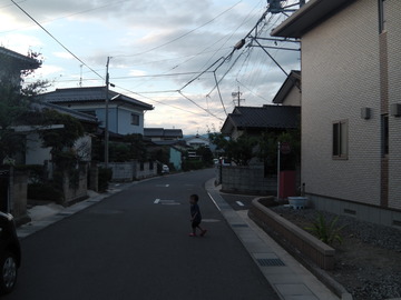 夕方散歩