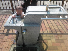 水遊び好き