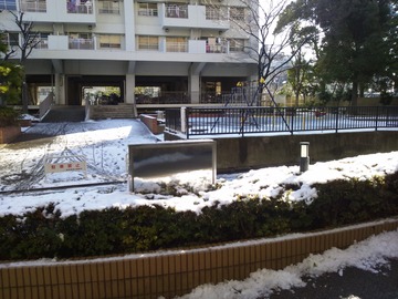 雪積もってる!