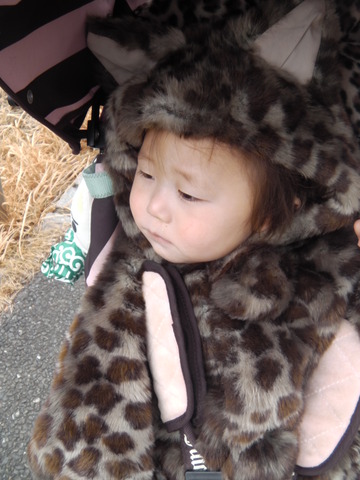けど眠い