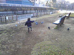 どーじょ!