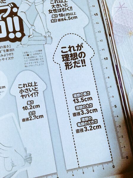 【速報】女の子の求める理想のおちんちんがコチラｗｗｗｗｗｗｗｗ