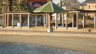 20170131DSCN8626