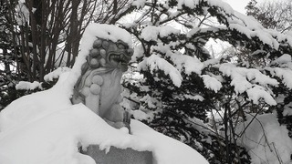 20160109DSCN0934