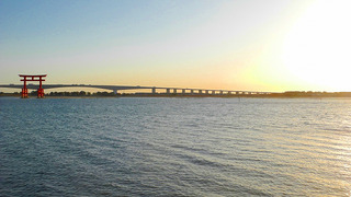 20170131DSCN8628