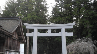 20170320DSCN0526