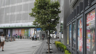 20160926DSCN1061