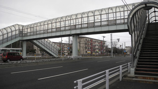 20160312DSCN2639