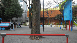 20161219DSCN1258