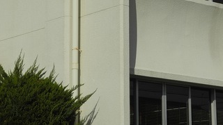 20170320DSCN0467
