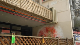 20161017DSCN8801