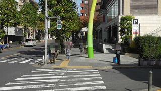 20161117DSCN9854
