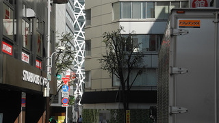 20161017DSCN8769