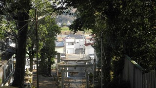 20161128DSCN0808