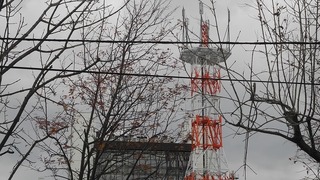 20161108DSCN9421-1