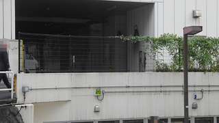 20161119DSCN0091