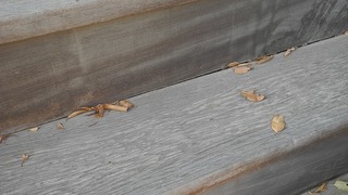 20161128DSCN0818