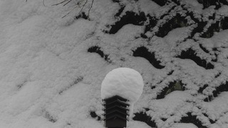 20161219DSCN1095