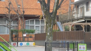 20161219DSCN1248