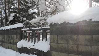 20160109DSCN0920