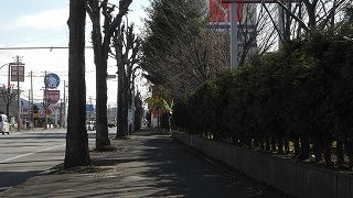20151111DSCN8604.jpg