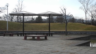 20161128DSCN0800