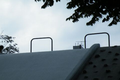 20120513_031.jpg