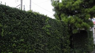 20150925DSCN1580.jpg