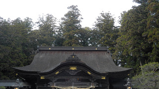 20170320DSCN0494