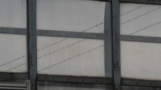 20160118DSCN2063