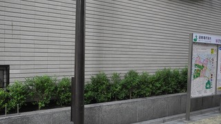 20161017DSCN8850