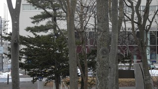 20160312DSCN2684