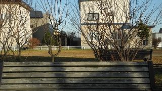 20151111DSCN8769.jpg