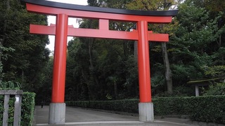 20161103DSCN9245